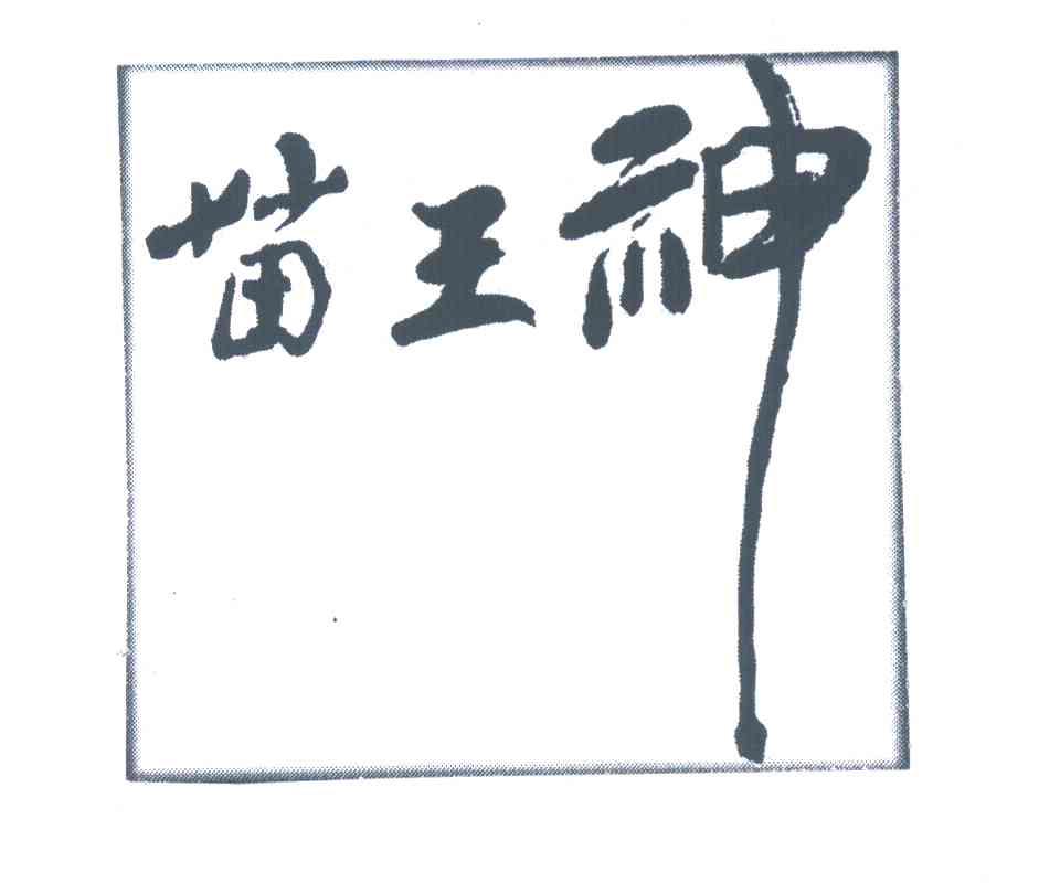 苗王神 - 商标 - 爱企查