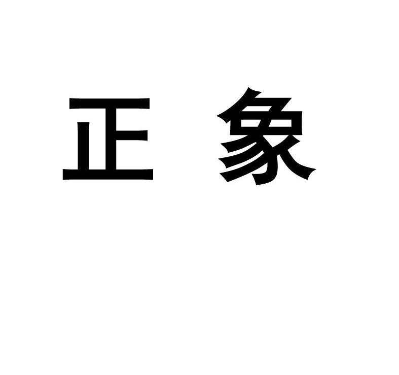 正象                                      