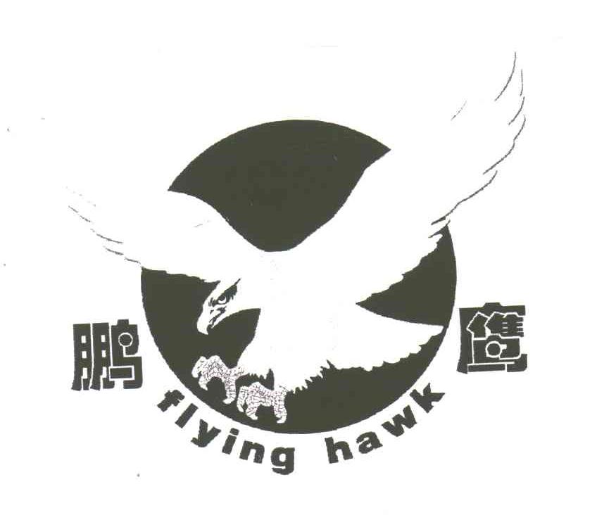 鹏鹰; em>flying /em>  em>hawk /em>
