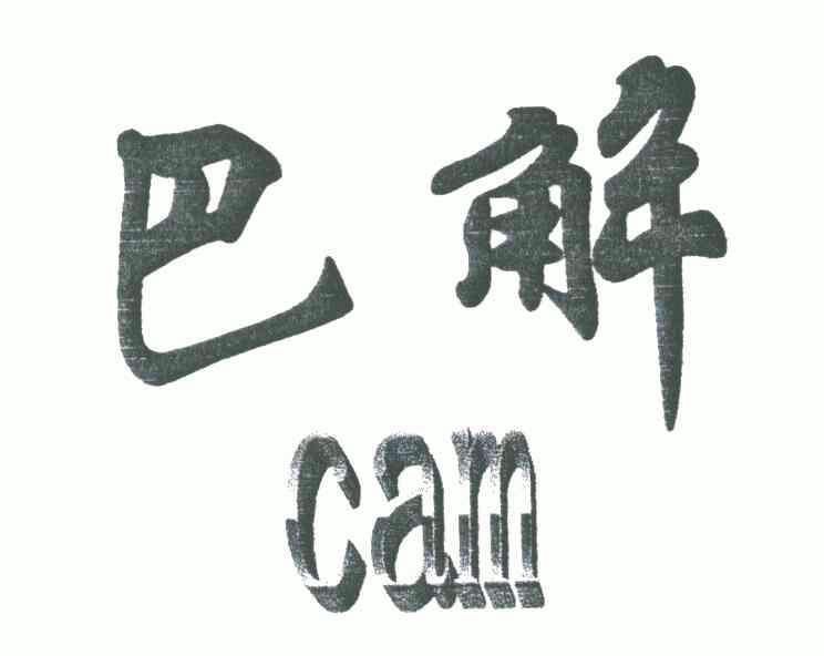 巴解; em>cam /em>