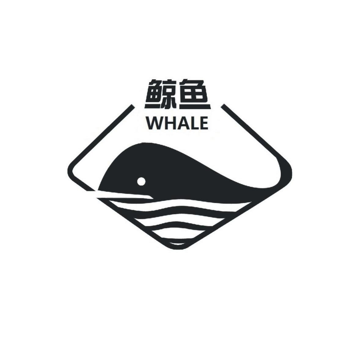 特殊符号鲸鱼图片