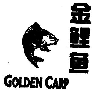  em>金 /em> em>鲤鱼 /em>  em>golden /em>  em>carp /em>