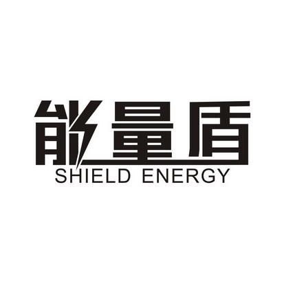 能量盾  em>shield /em>  em>energy /em>