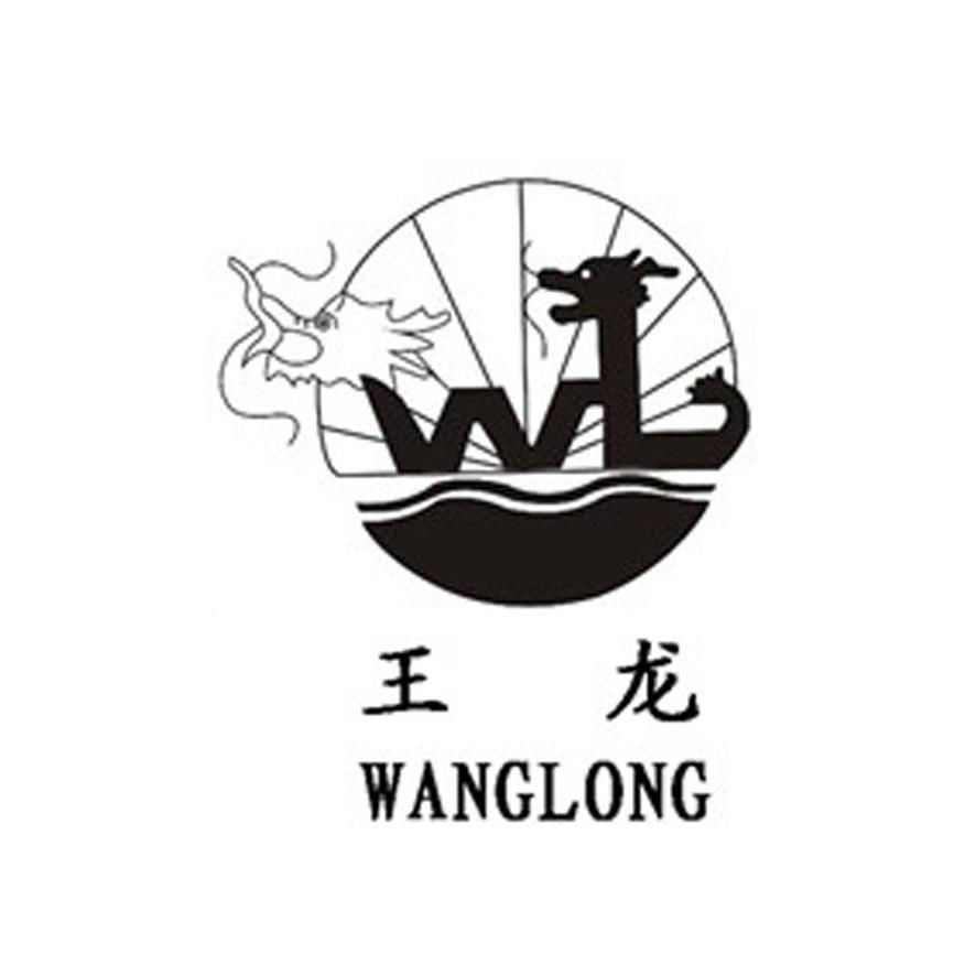  em>王龙 /em>  em>wl /em>