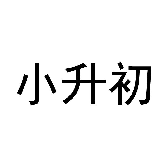  em>小升初 /em>