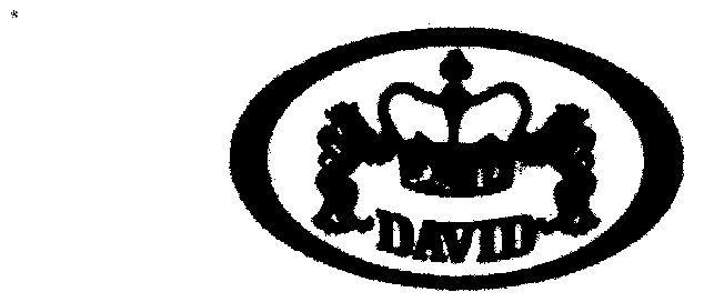  em>大卫 /em>; em>david /em>