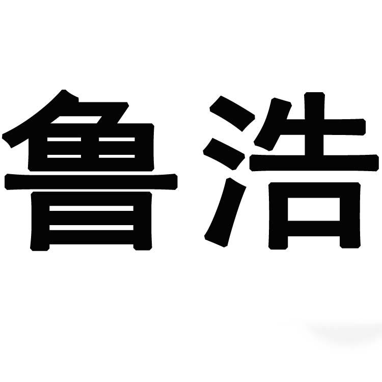 em>鲁浩/em>