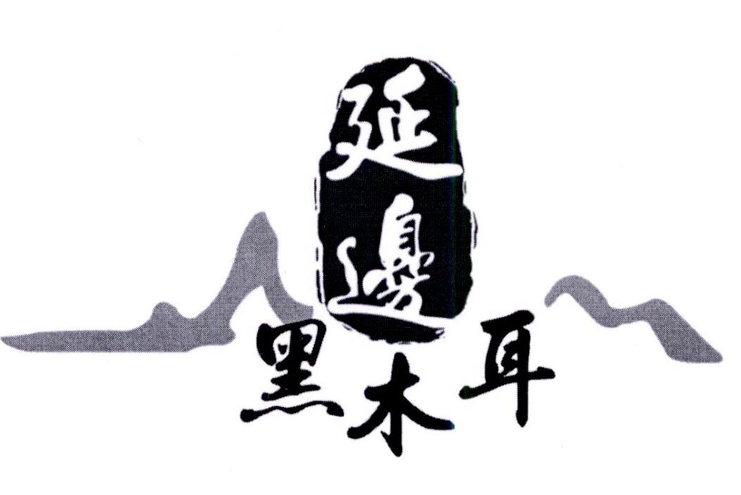 延边黑木耳_企业商标大全_商标信息查询_爱企查