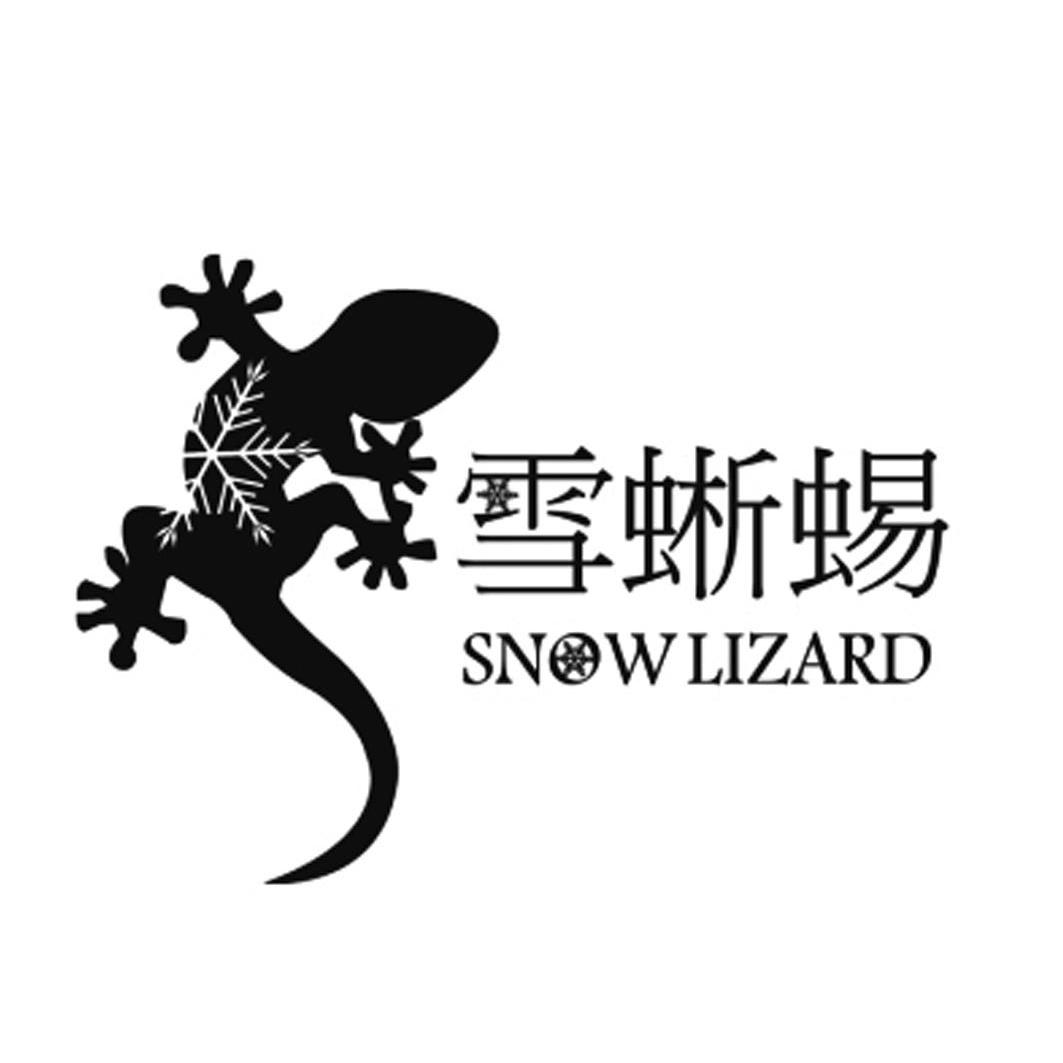  em>雪 /em> em>蜥蜴 /em>  em>snow /em> em>lizard /em>
