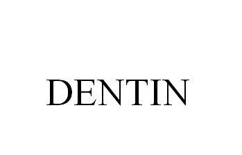  em>dentin /em>