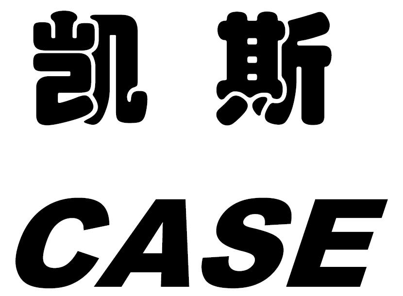 凯斯 em>case /em>
