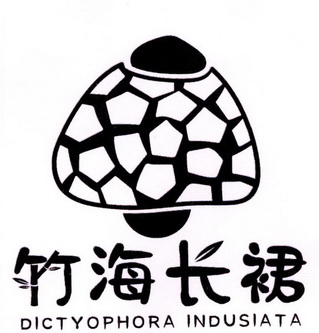  em>竹海 /em> em>长裙 /em>