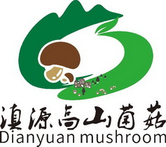 滇 em>源 /em>高山 em>菌 /em> em>菇 /em> dianyuan mushroom