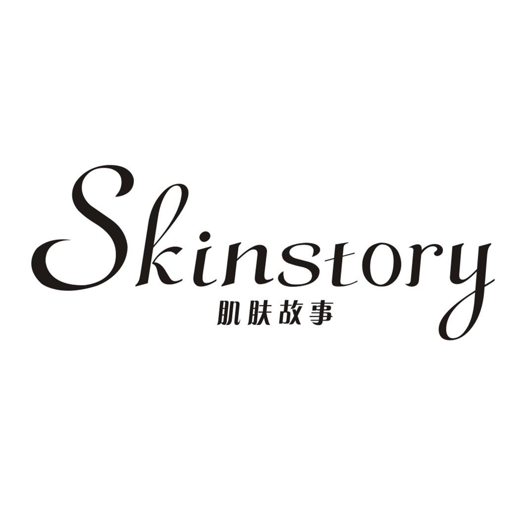 肌肤故事  em>skinstory /em>