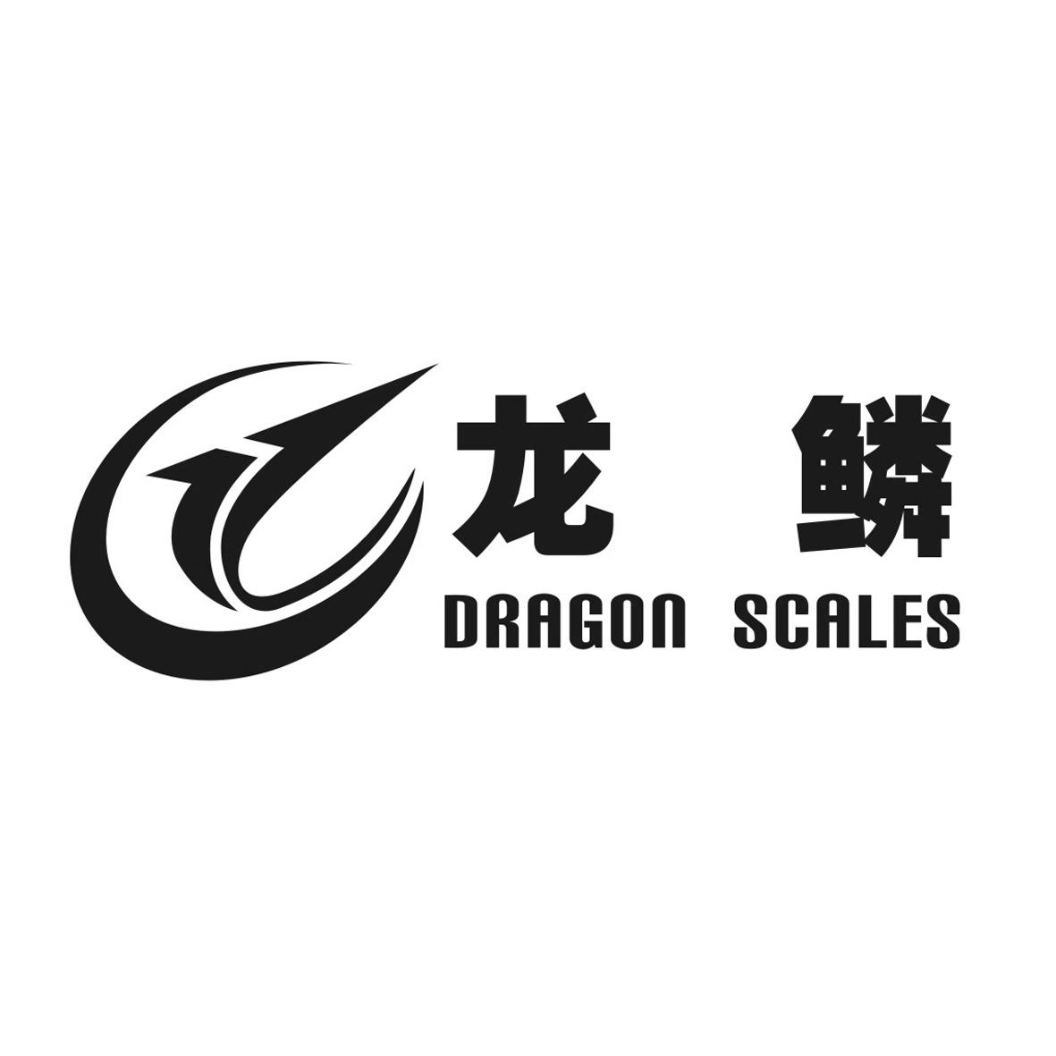  em>龙鳞 /em>  em>dragon /em> scales