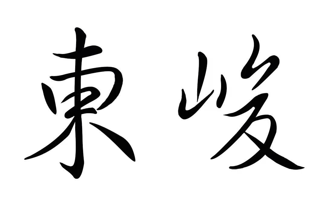 em>东峻/em>