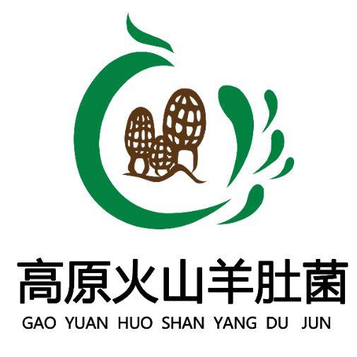 高原 火山羊肚菌