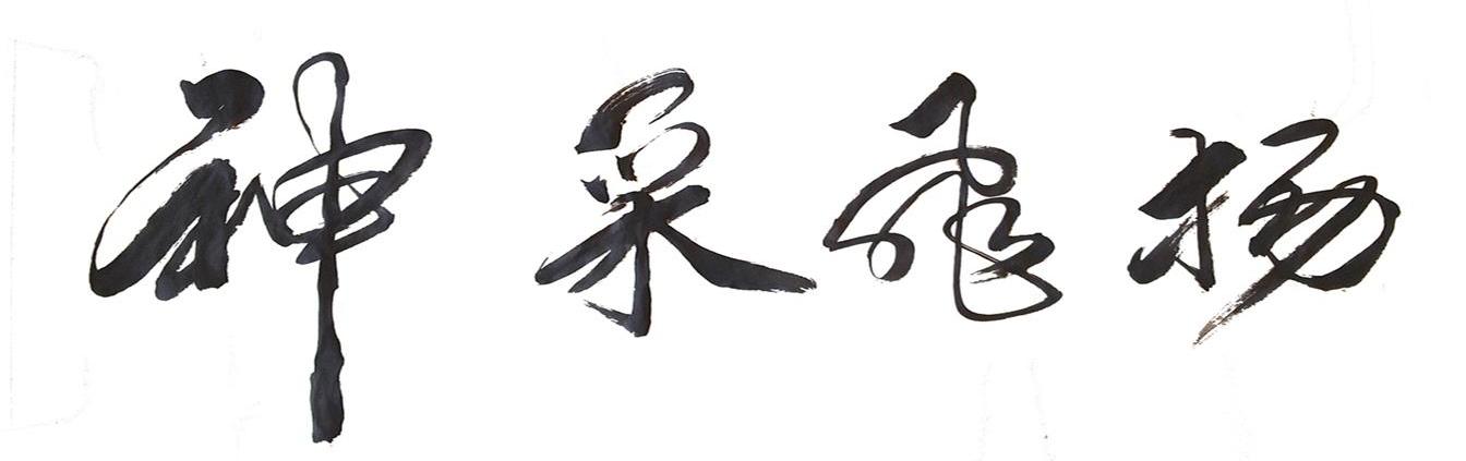 神采飞扬