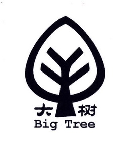  em>大树 /em> big  em>tree /em>