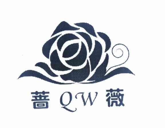 蔷薇  em>qw /em>