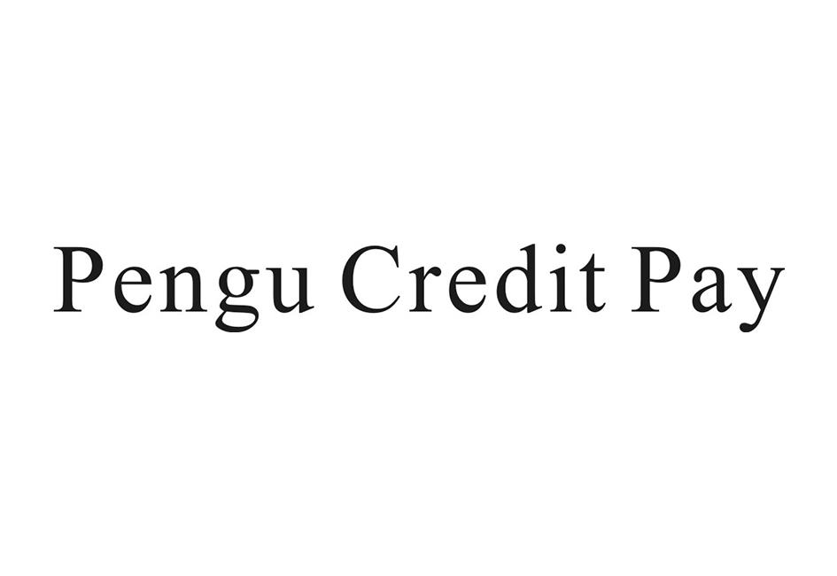  em>pengu /em> credit pay