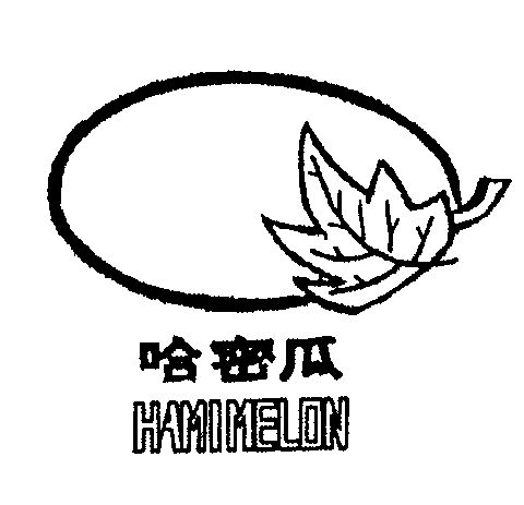  em>哈密瓜 /em>  em>hamimelon /em>