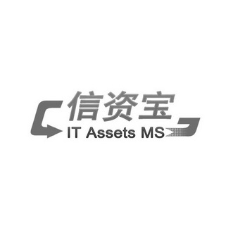 em>信资宝/em it assets ms