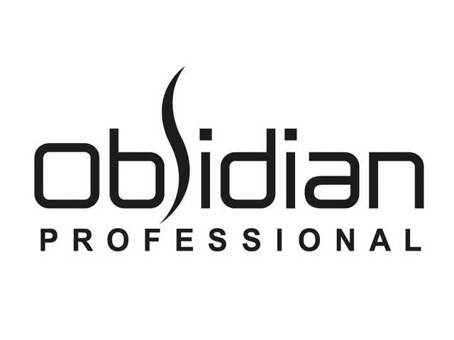  em>obsidian /em>  em>professional /em>