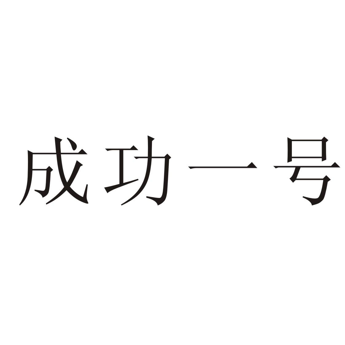 em>成功/em em>一号/em>