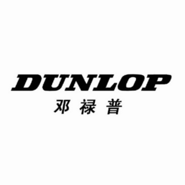  em>邓禄普 /em>  em>dunlop /em>