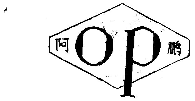  em>阿鹏 /em>