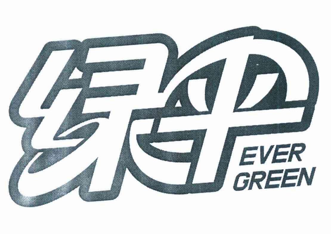  em>绿伞 /em>  em>ever /em>  em>green /em>