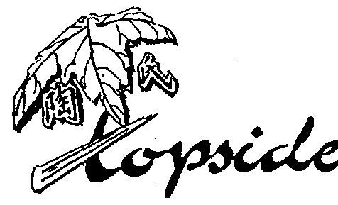 陶氏 em>topside /em>