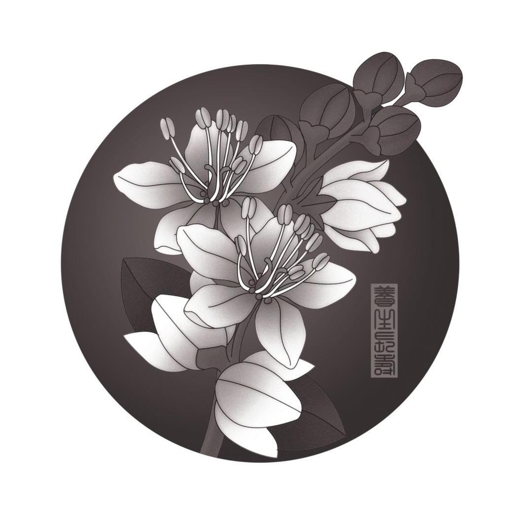  em>养生 /em> em>长寿 /em>