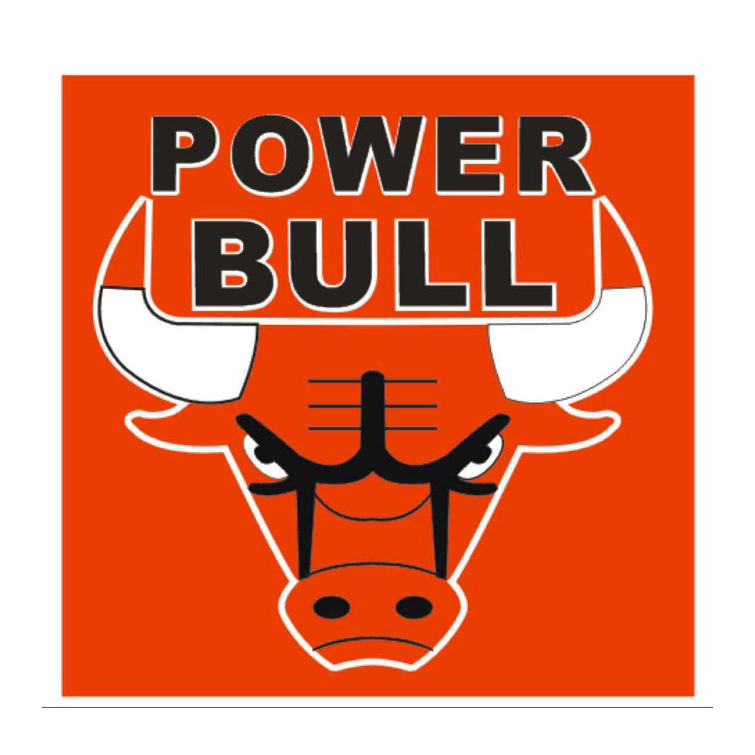  em>power /em>  em>bull /em>