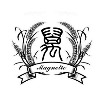  em>万 /em>  em>magnetic /em>