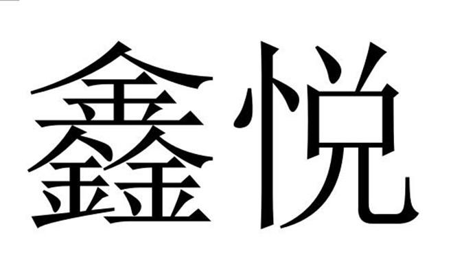  em>鑫悦 /em>