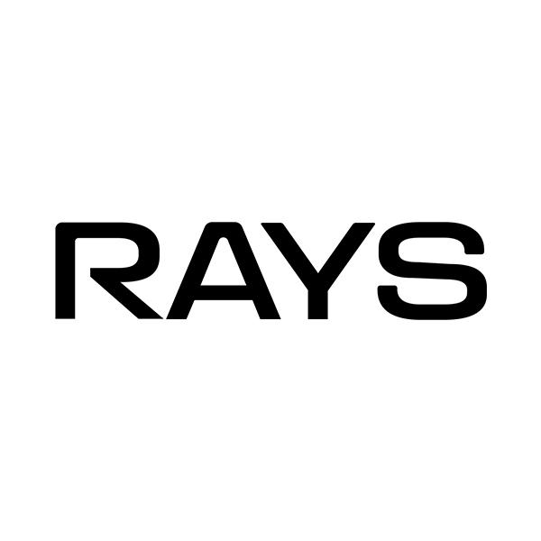 rays                                      