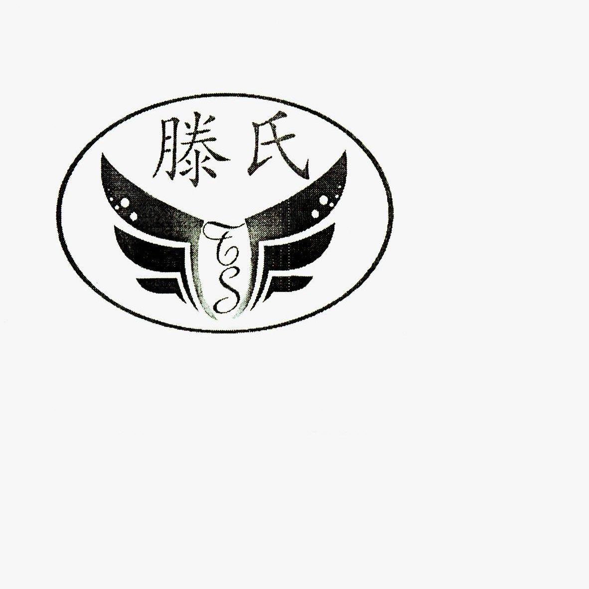  em>滕氏 /em>  em>ts /em>
