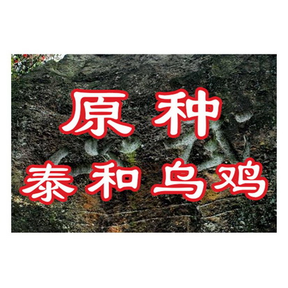 武山原种泰和乌鸡商标注册申请申请/注册号:35567068申请日期:2018-12