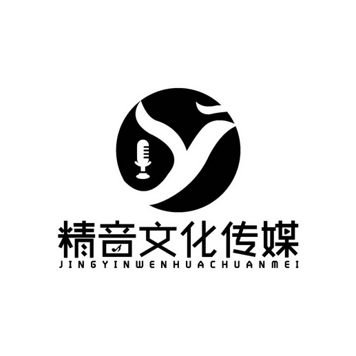  em>精音 /em>文化传媒
