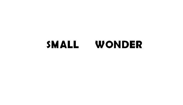  em>small /em>  em>wonder /em>