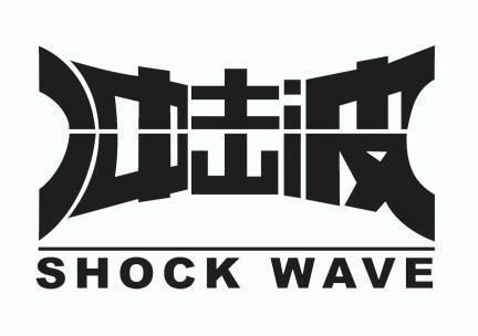  em>冲击波 /em> shock wave