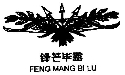  em>锋芒毕露 /em>