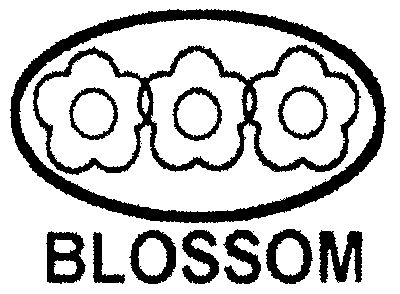 blossom                                   