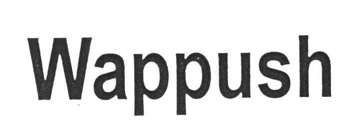  em>wap /em> em>push /em>