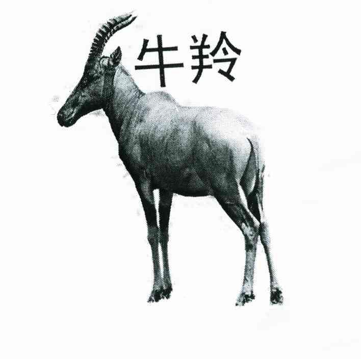 牛羚_企业商标大全_商标信息查询_爱企查