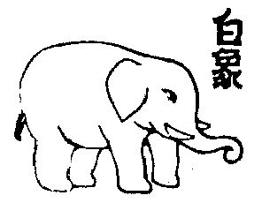 白象