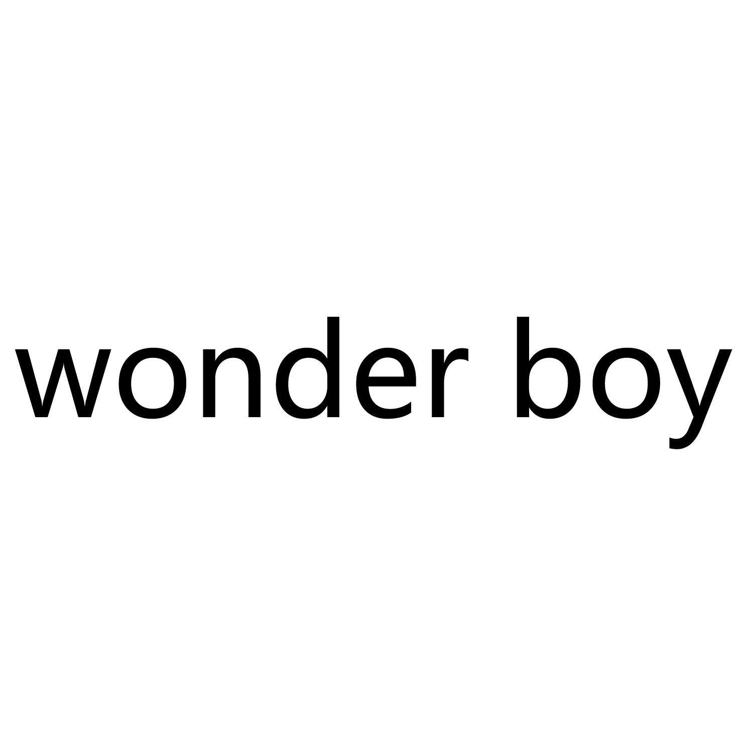  em>wonder /em>  em>boy /em>