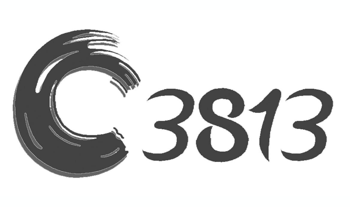 c 3813